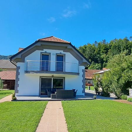 Hisa Haasberg Vila Planina  Exterior foto